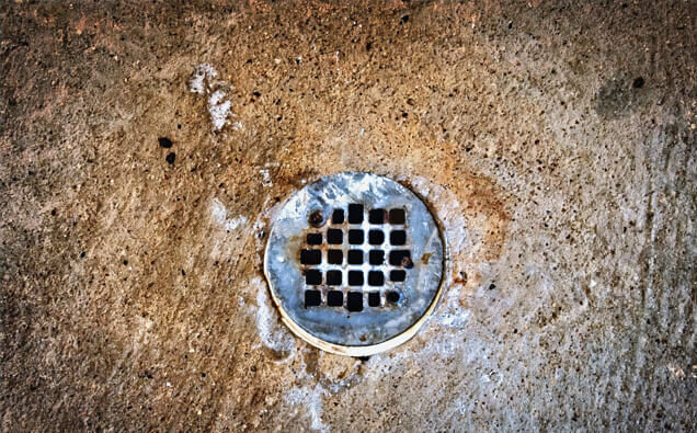 https://blockeddrainssuccess.com.au/uploads/2025/07/blocked-shower-drains-20432.jpg