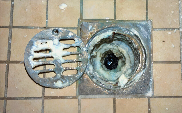 https://blockeddrainssuccess.com.au/uploads/2025/07/blocked-shower-drains-33151.jpg