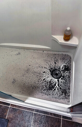 https://blockeddrainssuccess.com.au/uploads/2025/07/blocked-shower-drains-83587.jpg