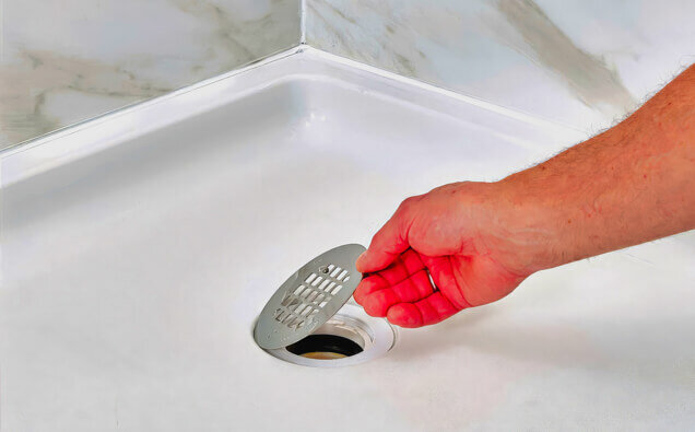 https://blockeddrainssuccess.com.au/uploads/2025/07/blocked-shower-drains-90992.jpg