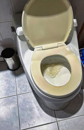 https://blockeddrainssuccess.com.au/uploads/2025/07/blocked-toilet-27293.jpg