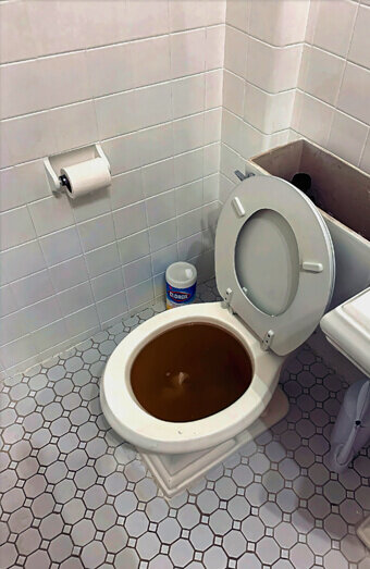 https://blockeddrainssuccess.com.au/uploads/2025/07/blocked-toilet-99184.jpg