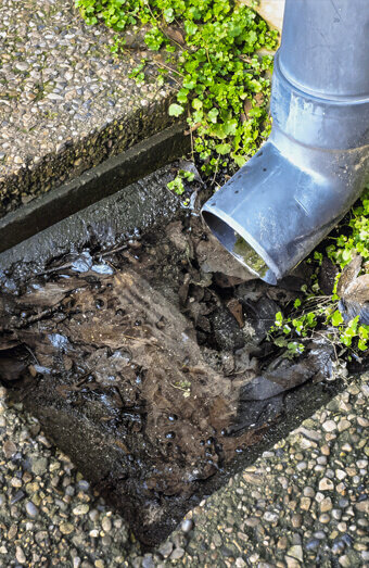 https://blockeddrainssuccess.com.au/uploads/2025/07/hero-blocked-sewers-20143.jpg