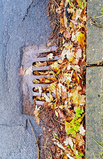 https://blockeddrainssuccess.com.au/uploads/2025/07/stormwater-drains-48051.jpg